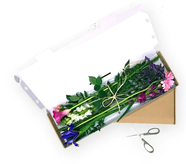 Bloom Boxes